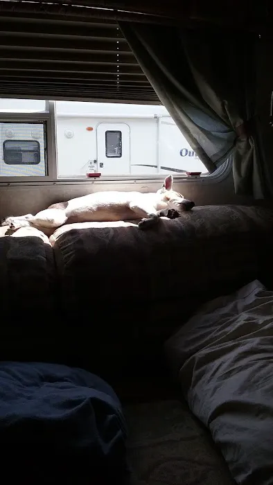 Cliff and Ed's Campground 2