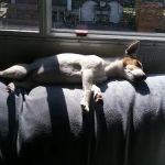 Cliff and Ed's Campground