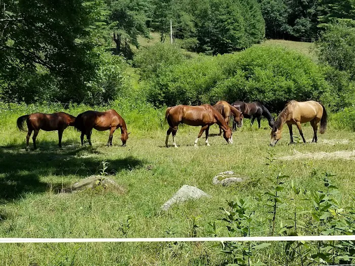 STEM Ranch 7