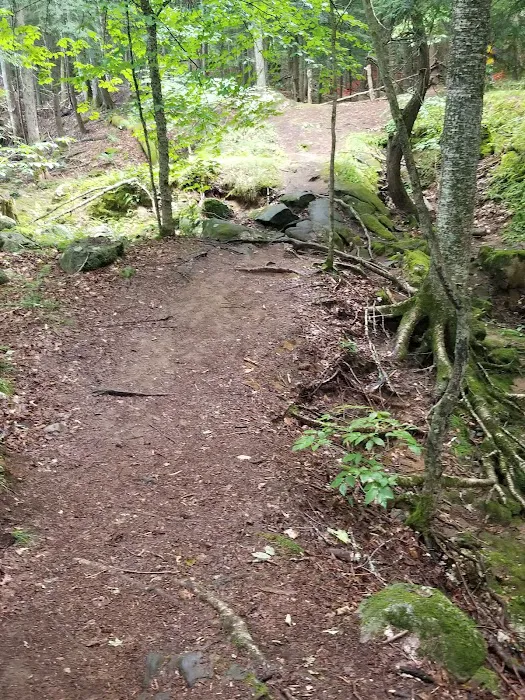 Camp Waubeeka 6