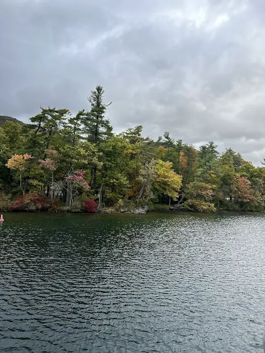 Fork Island Campground 2