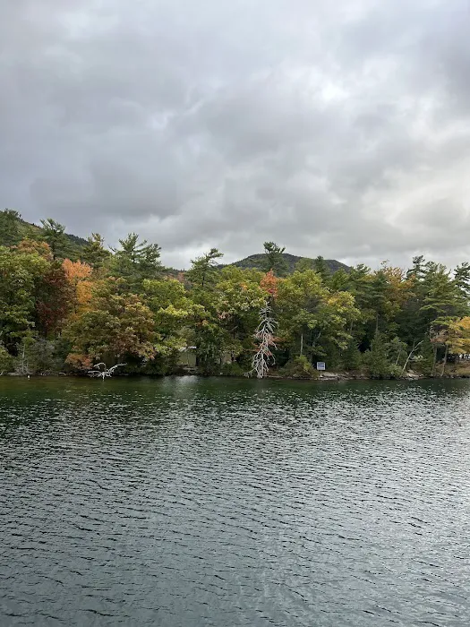 Fork Island Campground 7
