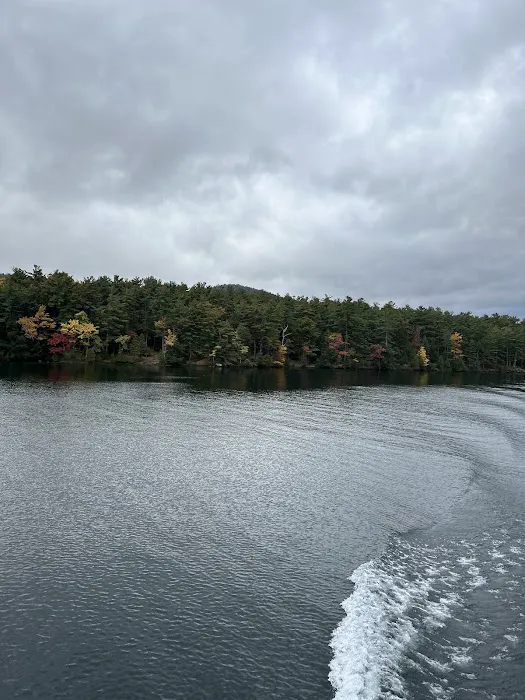 Fork Island Campground 6