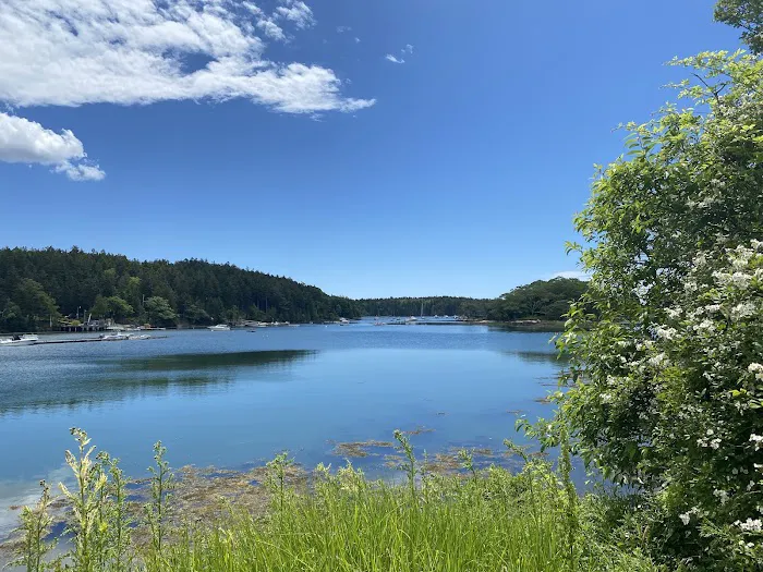 Hermit Island Campground 2