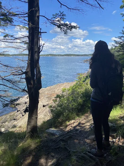 Hermit Island Campground 5