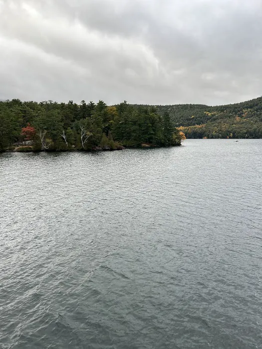 Brush Island Campground 0