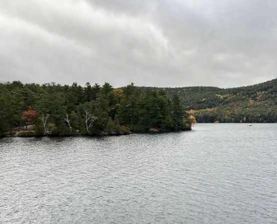 Brush Island Campground