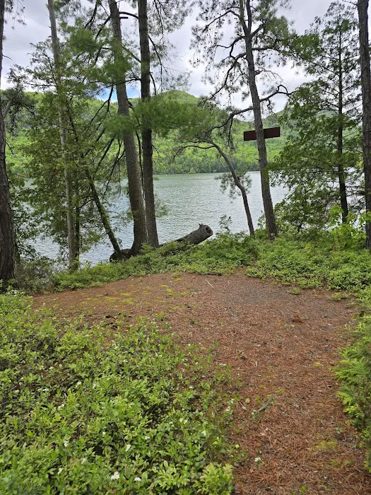 Brush Island Campground 1