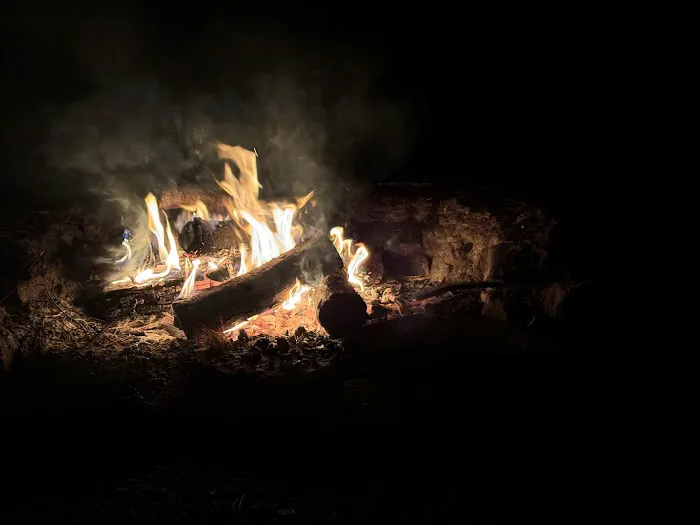 Brush Island Campground 2