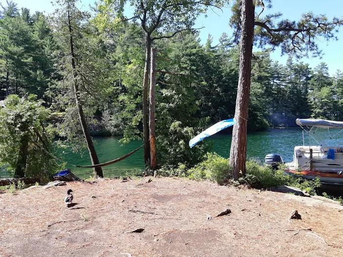 Brush Island Campground 5