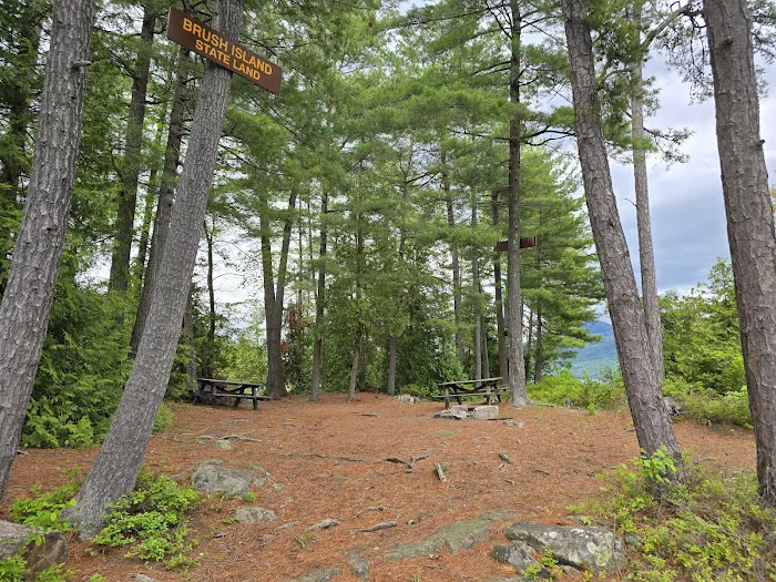Brush Island Campground 6