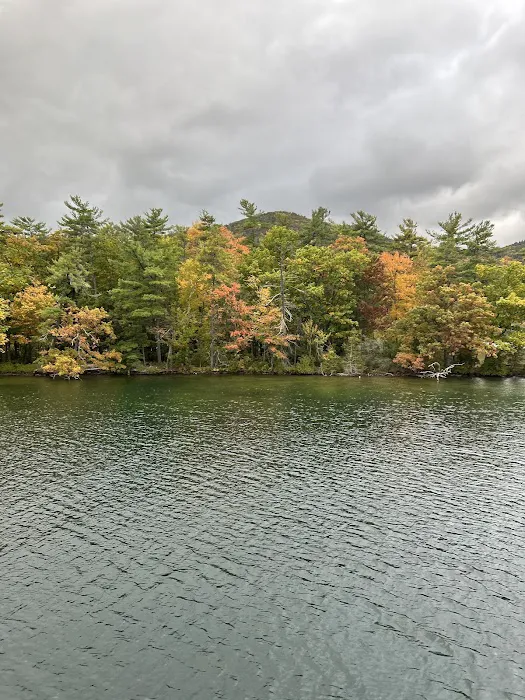 Fox Island Campground #1 6