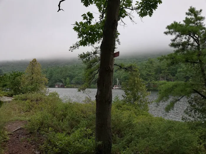 Bass Island Campsite 1 4