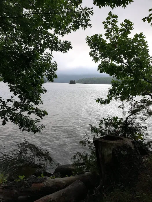 Bass Island Campsite 1 5