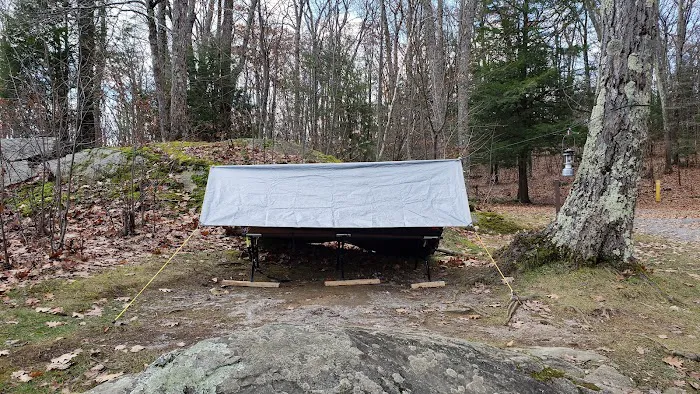 Beartown State Forest Site 10 1