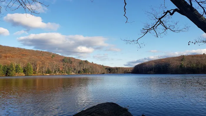 Beartown State Forest Site 10 2