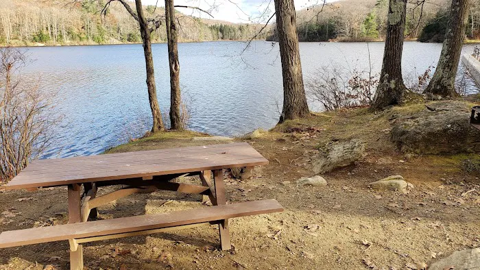 Beartown State Forest Site 10 6