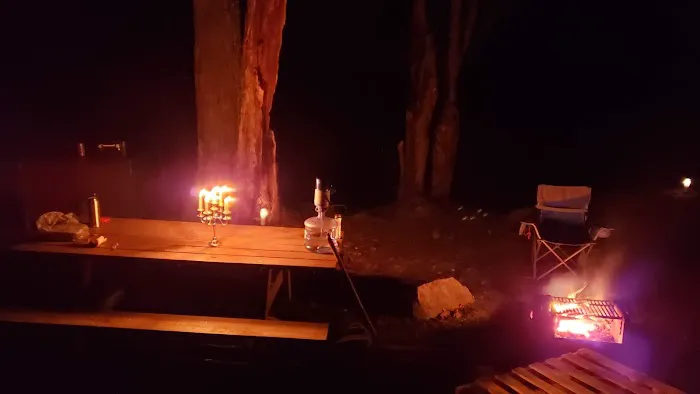 Beartown State Forest Site 10 5