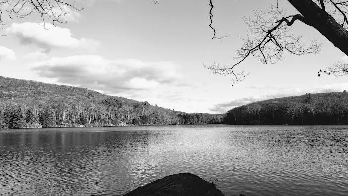 Beartown State Forest Site 10 8