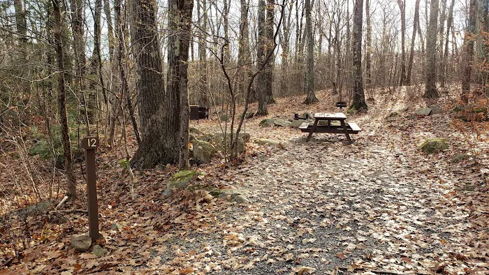 Beartown State Forest Site 12 0