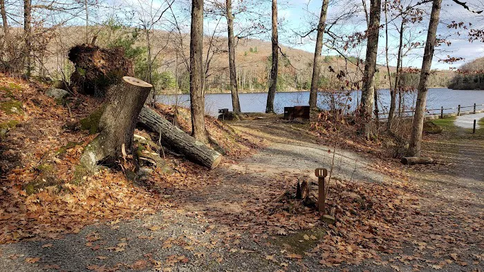 Beartown State Forest Site 11 0