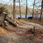 Beartown State Forest Site 11