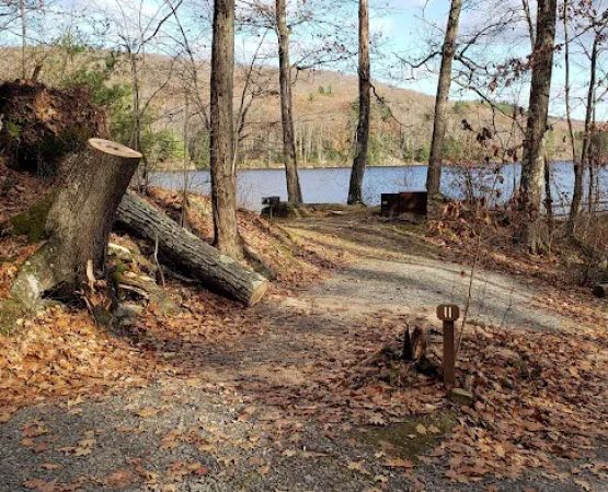 Beartown State Forest Site 11