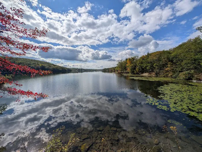 Lake Taghkanic State Park Campground 5
