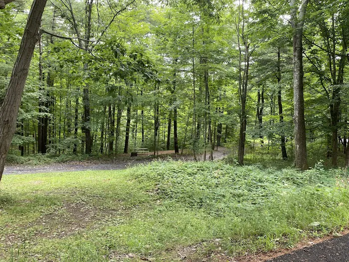 Lake Taghkanic State Park Campground 7