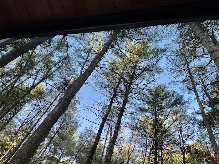 Getaway Eastern Catskills Campground - Castle Road 7