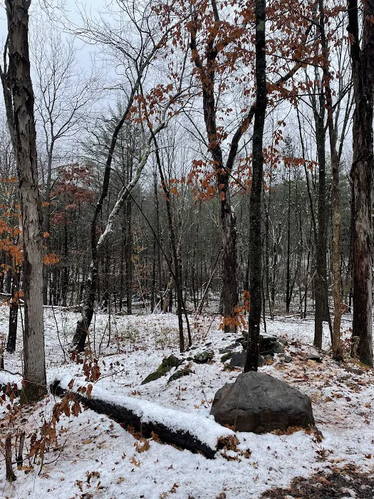 Getaway Eastern Catskills Campground - Castle Road 8
