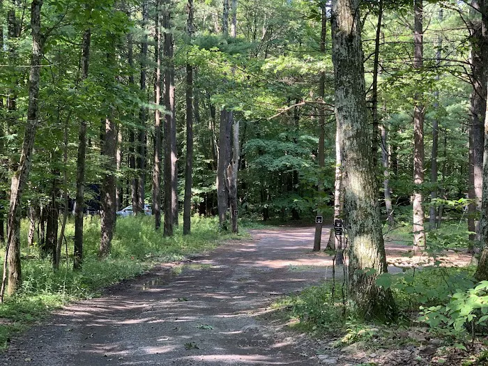 Getaway Eastern Catskills Campground - Castle Road 9