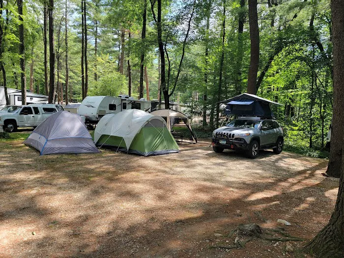 Lone Oak Campsites 4