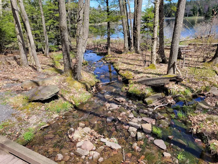North/South Lake Campground 7