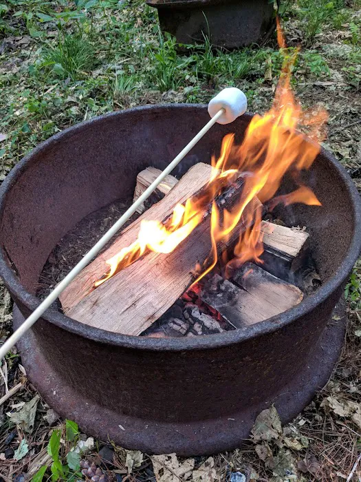Blue Mountain Campground 5