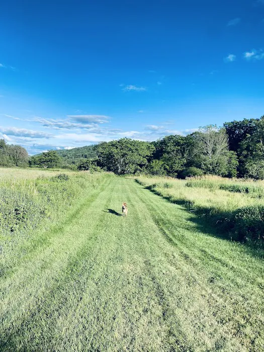Crazy Acres Campground at Beaver Spring Lake 2