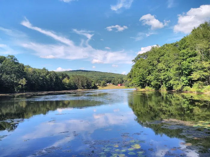 Crazy Acres Campground at Beaver Spring Lake 3