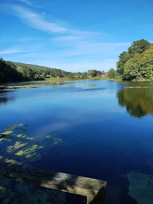 Crazy Acres Campground at Beaver Spring Lake 4