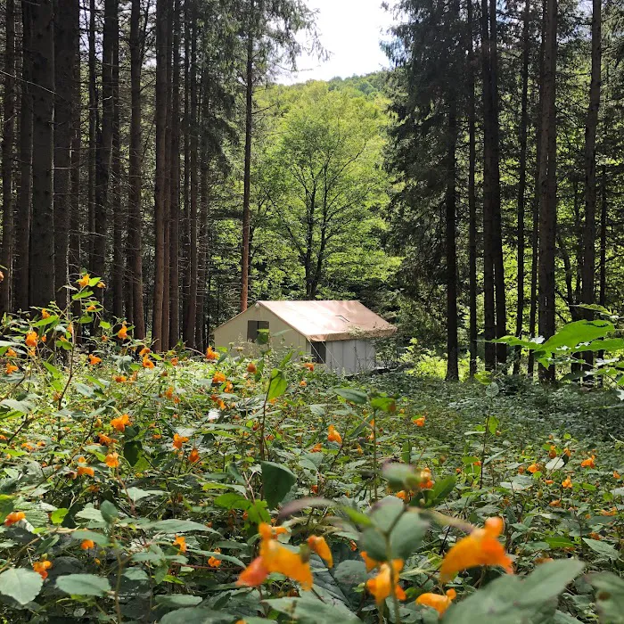 Wolf Hollow Camp 3