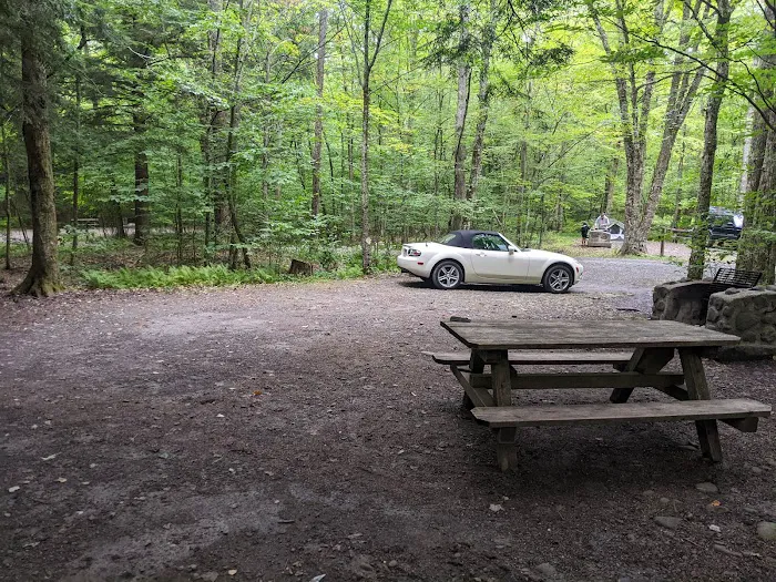Little Pond Campground 0