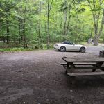 Little Pond Campground
