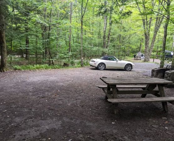 Little Pond Campground