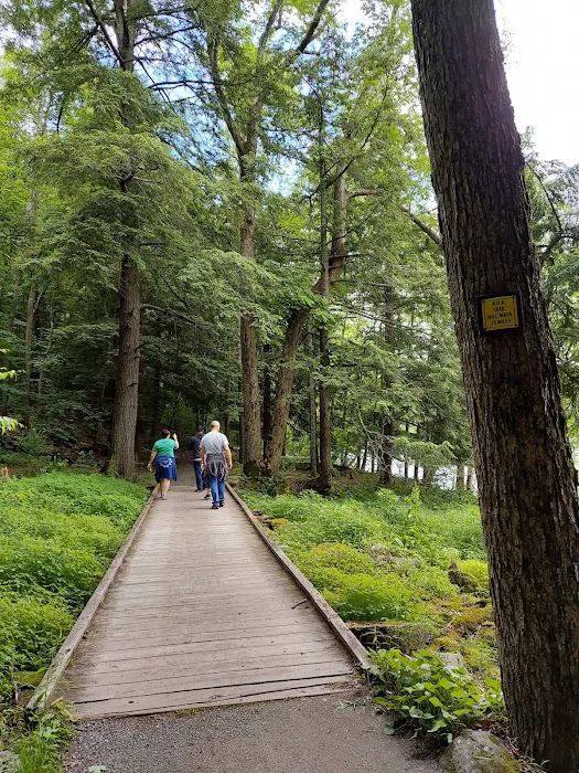 Little Pond Campground 3