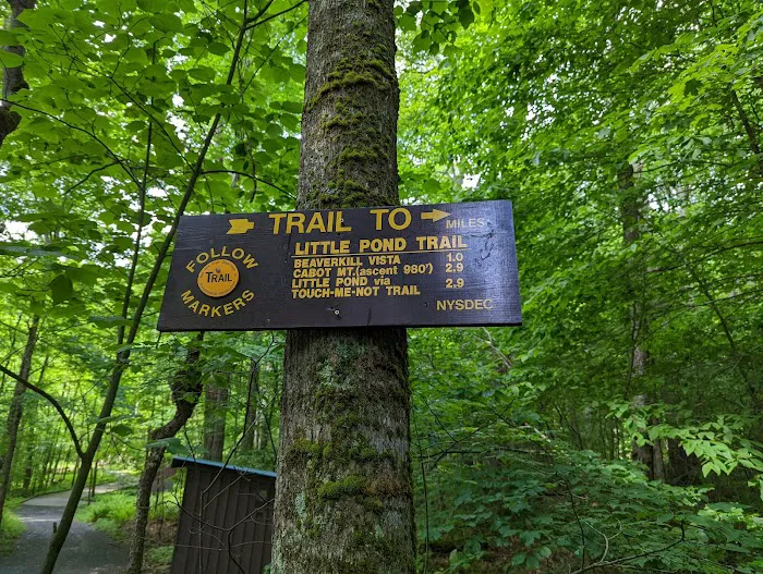 Little Pond Campground 6
