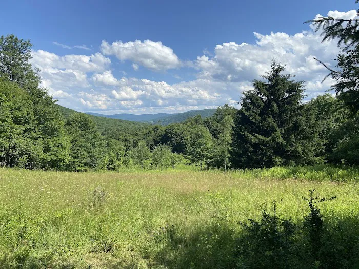 Little Pond Campground 7