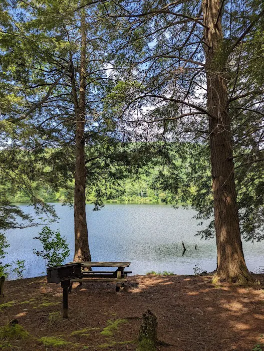 Little Pond Campground 8