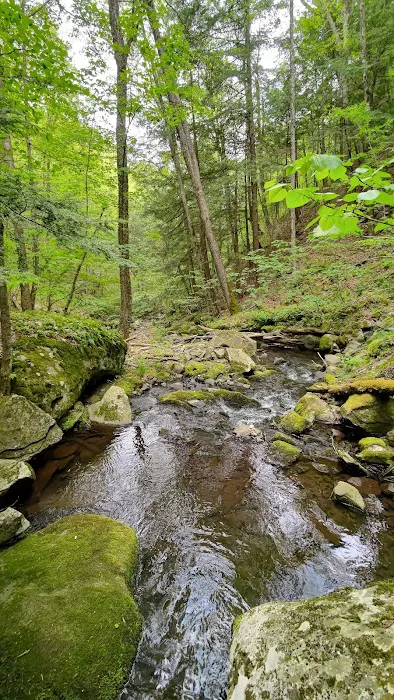 Little Pond Campground 9