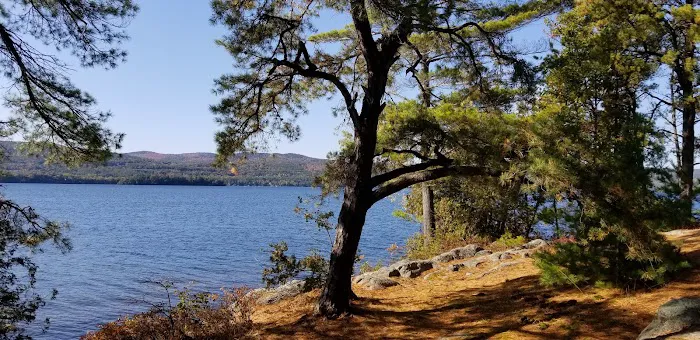 Huckleberry Island Campground 3