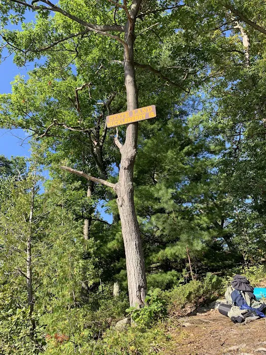 Huckleberry Island Campground 6