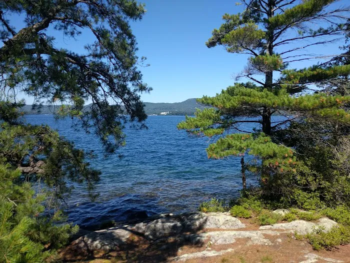 Huckleberry Island Campground 8